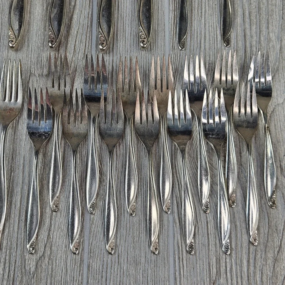 Wm. A. Rogers Oneida Flowertime Silver Overlaid Flatware Set 50 Pieces Vintage